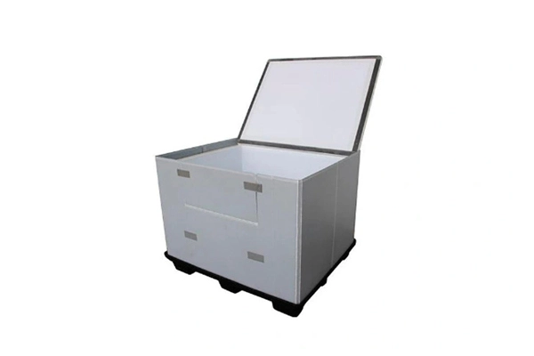 Funzioni degli spedizionieri di Pallet isolati